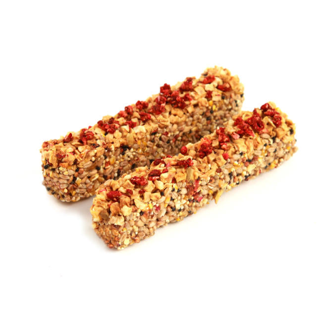Nature's Own Nibble Stix small animal treat with strawberry and apple flavors, featuring colorful fruit pieces and a crunchy texture.
