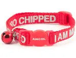 Cat collar (microchipped) Pet Market