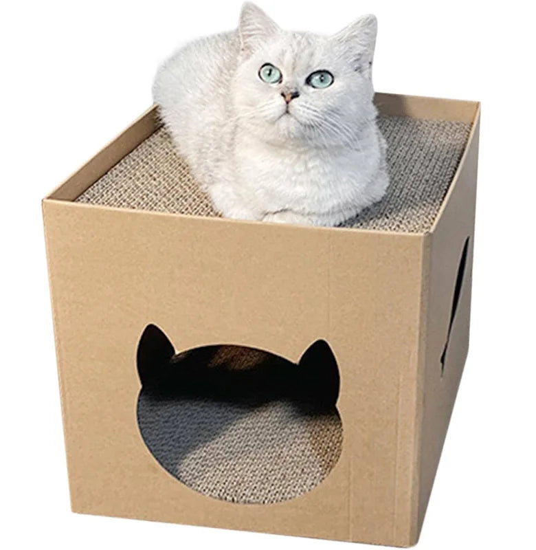 Foldable cat scratcher house Pet Market