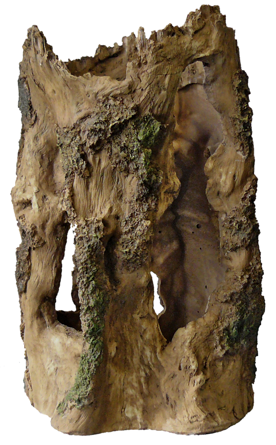 SuperFish Tree Home Large