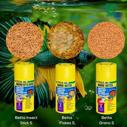 JBL Pro Novo Betta Food Pet Market