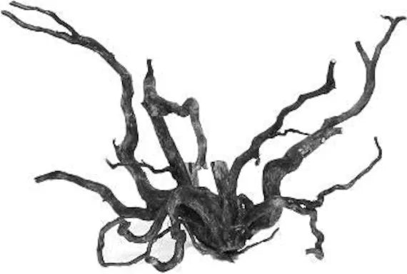 SuperFish Black Spider Wood Pet Market
