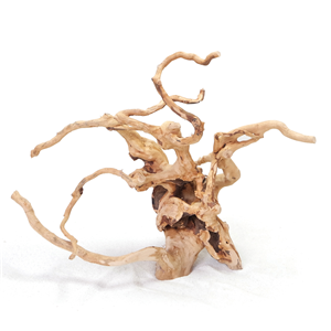 Polished wood root Pet Market