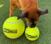 Hemmo MEGA BALLS Pet Market