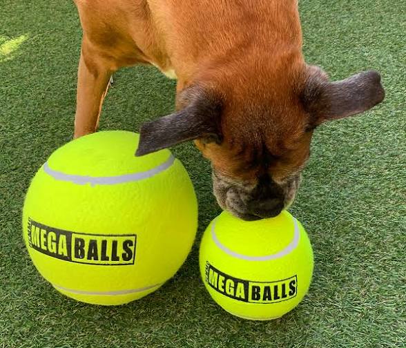 Hemmo MEGA BALLS Pet Market