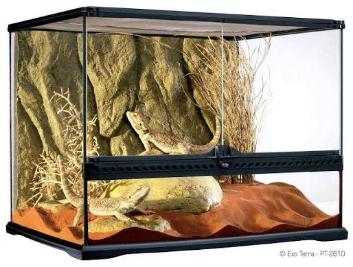 Exo-Terra 60x45x45cm Terrarium Pet Market