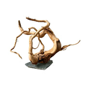 Spider wood attached to slate Pet Market