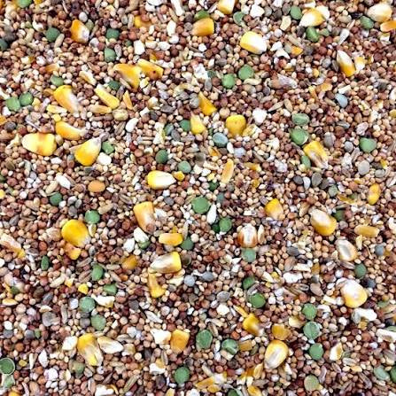 Bamfords - Carp Fishing Spod Mix 20kg Pet Market