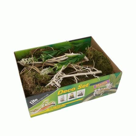 Lucky Reptile Deco Sets Pet Market