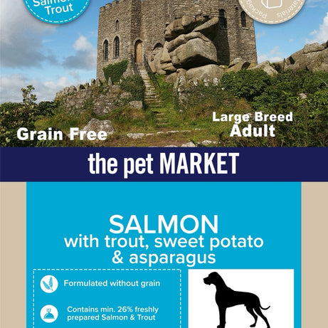 Grain Free Large Breed Adult Dog Salmon Dry Complete kibble the Pet MARKET