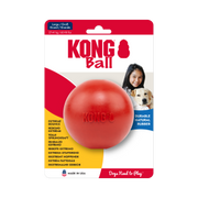 KONG Ball with hole Dog Toy Kong