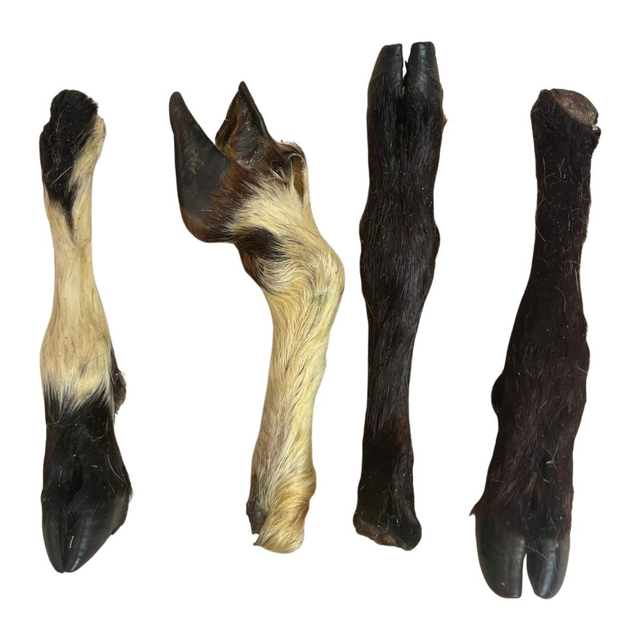 Lamb Leg - With Hair Dog Treat Nova