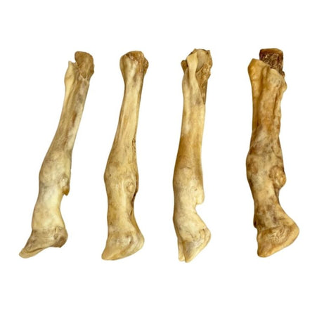Lamb Legs - Single Dog Treat Nova