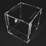 20cm Acrylic Cube Terrarium the Pet MARKET