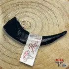 Buffalo Horn Dog Treat Nova