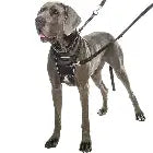 HALTI Harness Black Dog accessories Company of animals