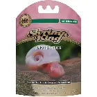 Dennerle Snail Stixx Fish Food Dennerle