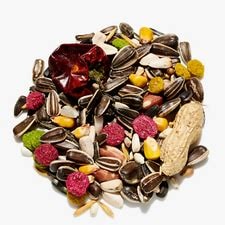 Countrywide Parrot Mix bird feed in a colorful blend, designed for parrots and other large pet birds.