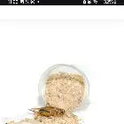 HabiStat Insecta Shot Reptile Feeding Acessories HabiStat