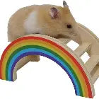 Rainbow Play Bridge Small Small animal toy Rosewood