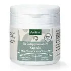 Aniforte Green-Lipped Mussel Powder 100g Pet Market