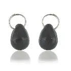 PetSafe magnetic collar key PetSafe