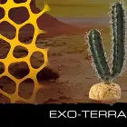 Exo Terra desert Plant Finger Cactus Pet Market