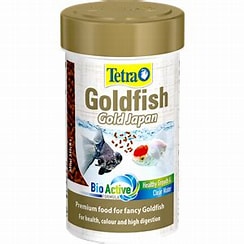 Tetra Goldfish Gold Japan