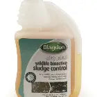 Blagdon dirty pond the Pet MARKET