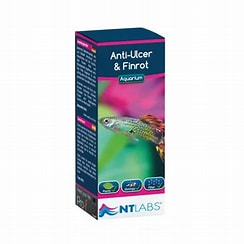 NT Labs Aquarium Anti-Ulcer & Finrot Fish Treatment NT Labs