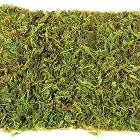Natural Moss Mat LG 2pcs the Pet MARKET
