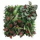 Betta Terra Polka Dot Plant Garden Mat 25 x 25cm Reptile Decor Betta