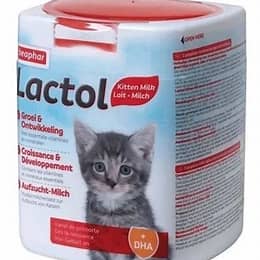 Beaphar Lactol Kitten milk 500g Pet Market