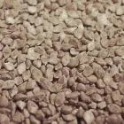 Countrywide Jap Millet 13kg Bird - Food Countrywide