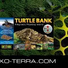 Exo Terra Turtle Bank Turtle Bank Exo Terra