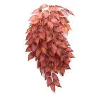 Betta terra red vine 37cm the Pet MARKET