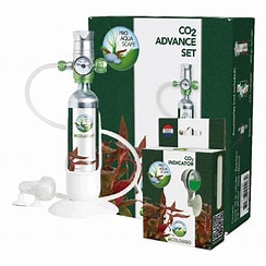 Colombo CO2 Advance Set CO2 Kit Colombo