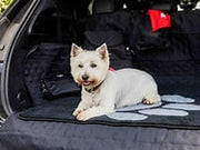 Pet Rebellion Stop Muddy Paws Home & Car Boot Mat Paw Pet Market
