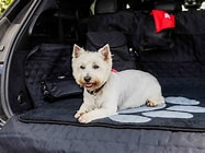 Pet Rebellion Stop Muddy Paws Home & Car Boot Mat Paw Pet Market