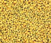 Hagen Tropican 1kg