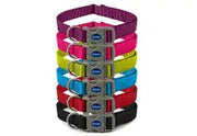 VIVA ADJUSTABLE COLLAR Dog accessories Ancol
