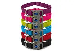 VIVA ADJUSTABLE COLLAR Dog accessories Ancol