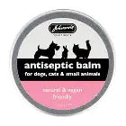Johnsons Antiseptic Balm 45g Pet Market