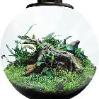 Bio Art Bowl 225 5,1L the Pet MARKET