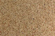 Countrywide Special Budgie 20/80 Mix Bird feed Country Wide