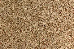 Countrywide Special Budgie 20/80 Mix Bird feed Country Wide