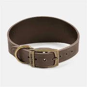 Ancol hound Leather Collar Ancol