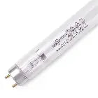 TMC Replacement UV Lamp G55T8 Pet Market