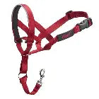 Halti Train Headcollar Red Size 2 Pet Market