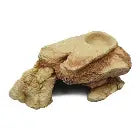 Mad Lizard Cave 25.5x14.7x8cm Pet Market